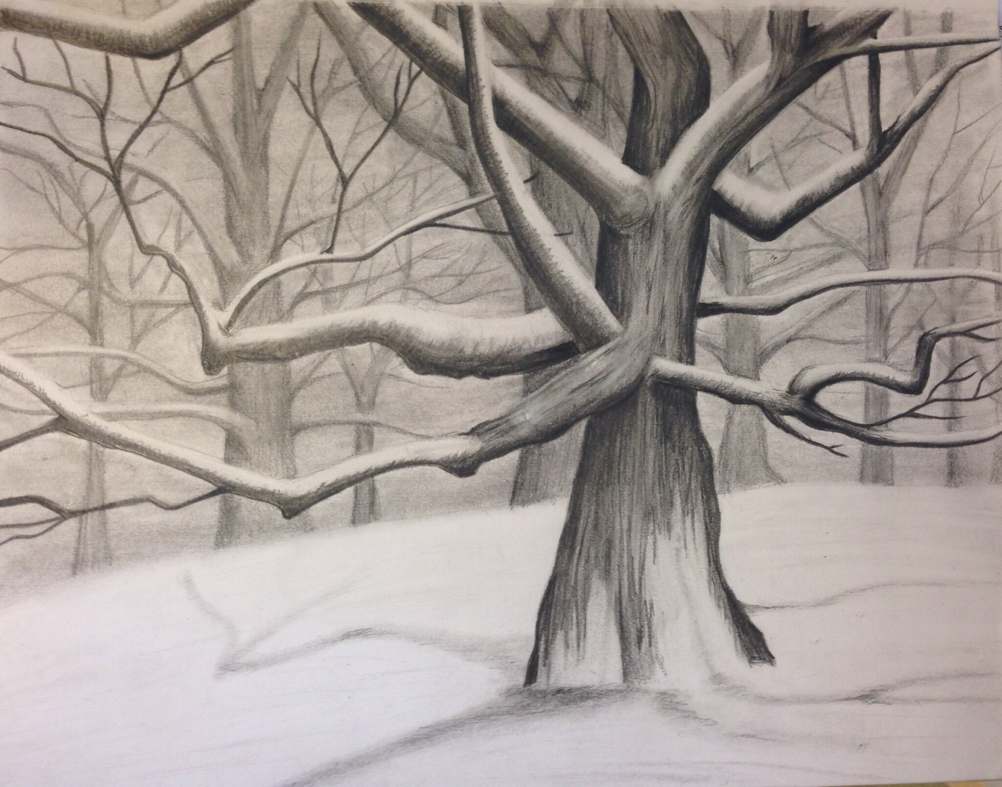 Is Anorexia a Choice?