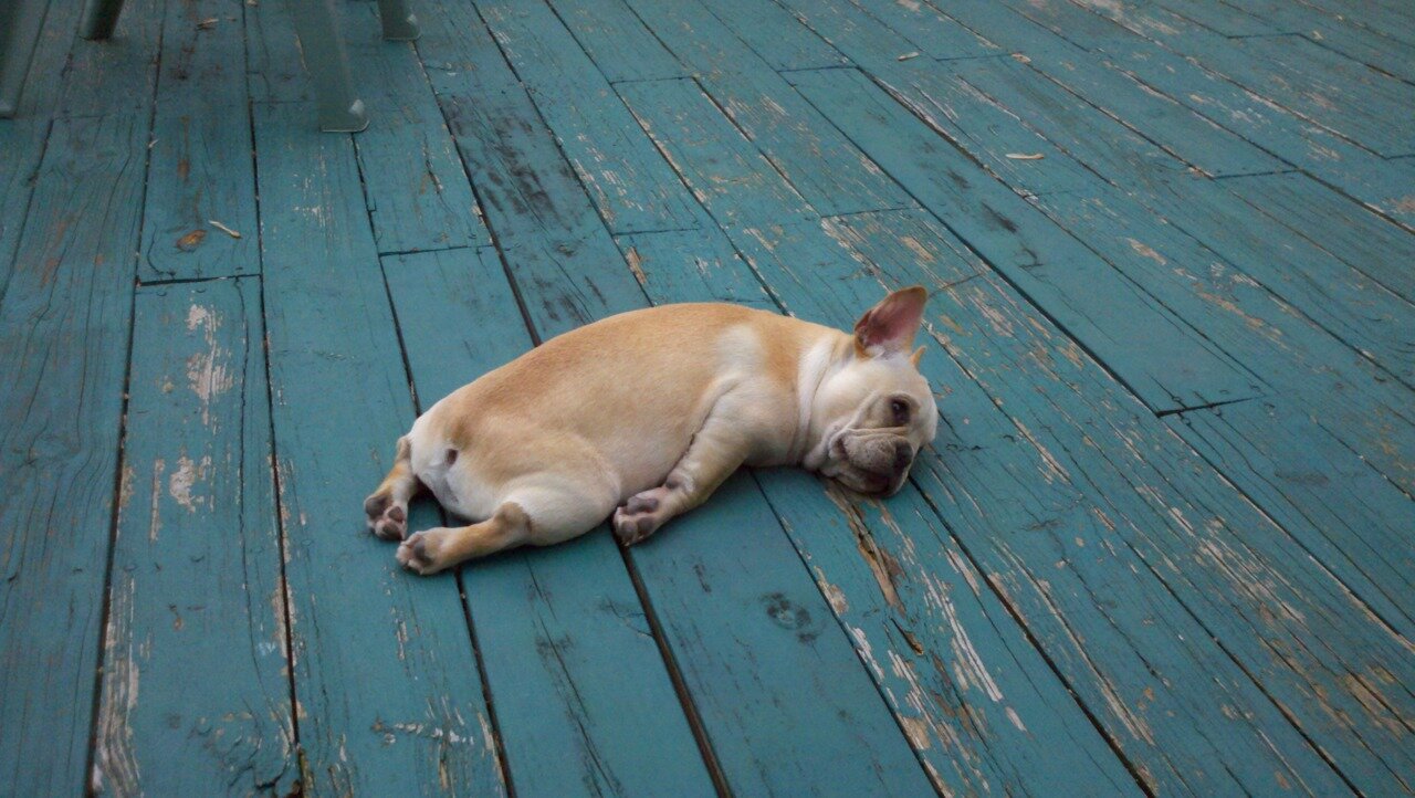 I Am So, So Tired of Recovery